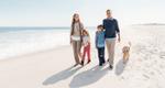 Golden Retriever LolaFamily