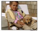 Golden Retriever Puppy Ralph Lauren 6630