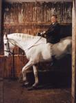 Horse White Jerry Stille 6683